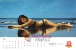 Cloud Nine bikini calendar pictures (11).jpg